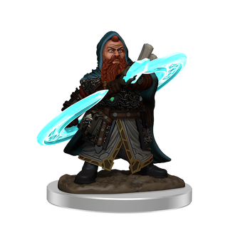 Pathfinder Painted Premium: Male Dwarf Sorcerer - De Dondersteen