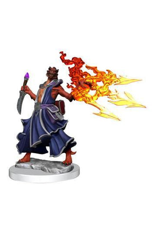 D&D Frameworks: Dragonborn Sorcerer Female - De Dondersteen