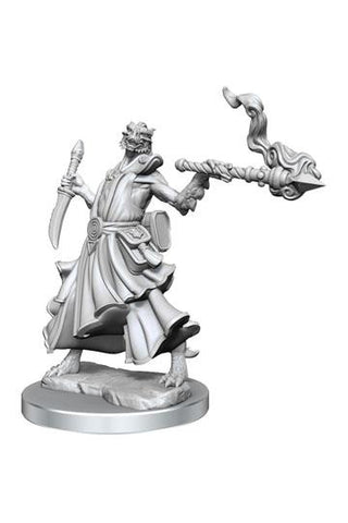 D&D Frameworks: Dragonborn Sorcerer Female - De Dondersteen