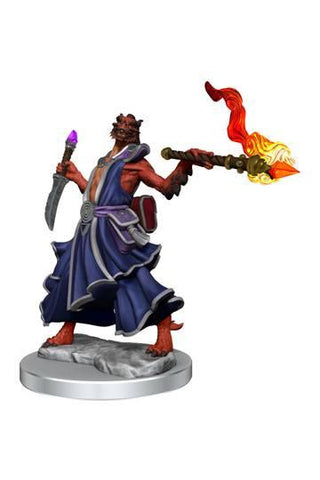 D&D Frameworks: Dragonborn Sorcerer Female - De Dondersteen
