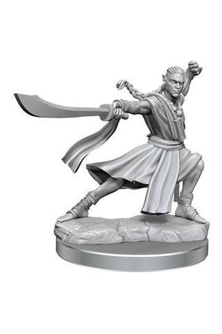 D&D Frameworks: Elf Monk Male - De Dondersteen