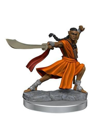 D&D Frameworks: Elf Monk Male - De Dondersteen