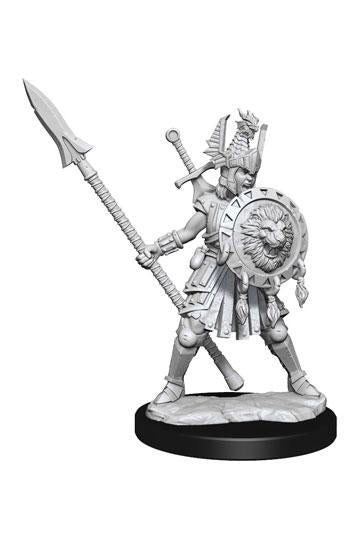 D&D Frameworks: Human Fighter Female - De Dondersteen