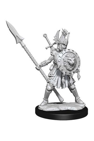 D&D Frameworks: Human Fighter Female - De Dondersteen