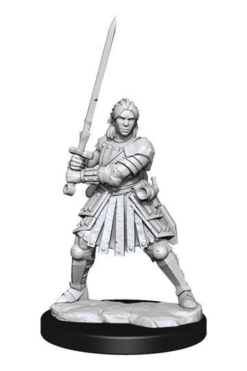 D&D Frameworks: Human Fighter Female - De Dondersteen