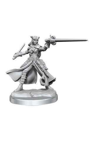 D&D Frameworks: Tiefling Rogue Female - De Dondersteen