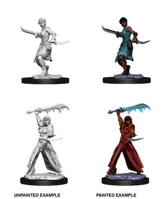 D&D Nolzur's Marvelous Miniatures - Female Human Rogue - De Dondersteen