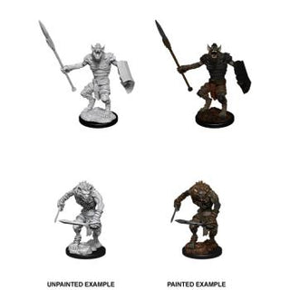 D&D Nolzur's Marvelous Miniatures - Gnoll & Gnoll Flesh Gnawer - De Dondersteen