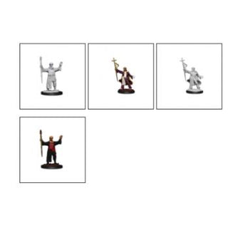 D&D Nolzur's Marvelous Miniatures - Human Wizard Male - De Dondersteen
