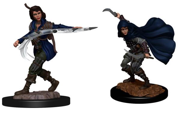 Pathfinder Deepcuts: Human Rogue Female - De Dondersteen