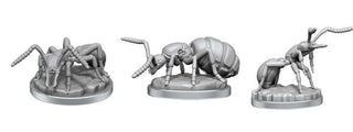WizKids Deep Cuts: Giant Ants - EN - De Dondersteen