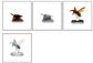 WizKids Deep Cuts: Murder Hornets - EN - De Dondersteen