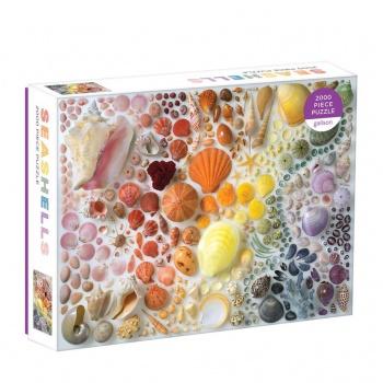 Rainbow Seashells (2000) - De Dondersteen