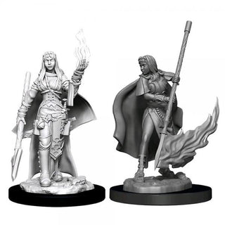 Pathfinder Battles Deep Cuts - Female Human Oracle (Magic User) - De Dondersteen