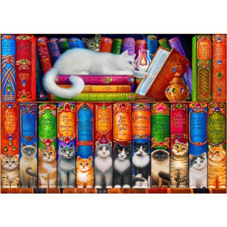 Cat Bookshelf puzzle
