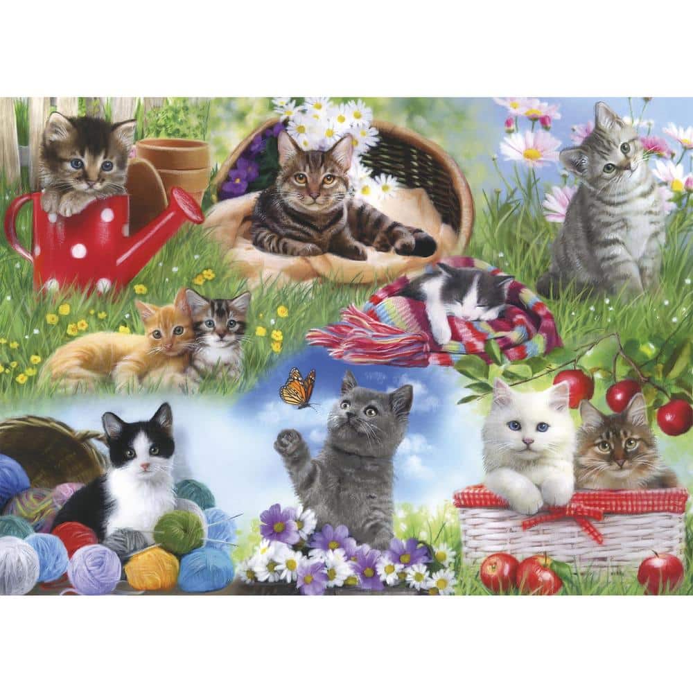 Cats (12) - De Dondersteen