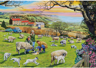 Gibsons Call the Vet (4 x 500) - De Dondersteen