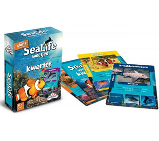 Sealife Kwartet - De Dondersteen