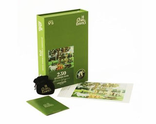 DaVICI Elke Dag is Zondag (250) - De Dondersteen