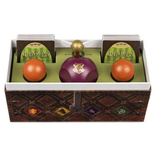 Harry Potter - Catch the Snitch (NL,FR) - De Dondersteen