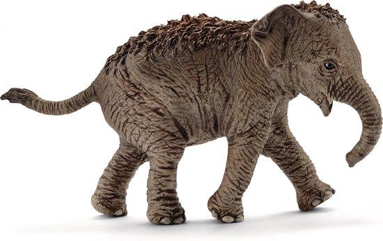 Aziatische Olifant Baby - De Dondersteen