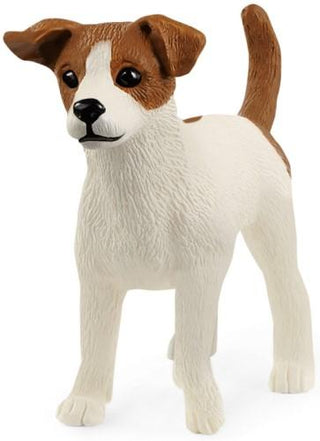 Jack Russell terrier - De Dondersteen