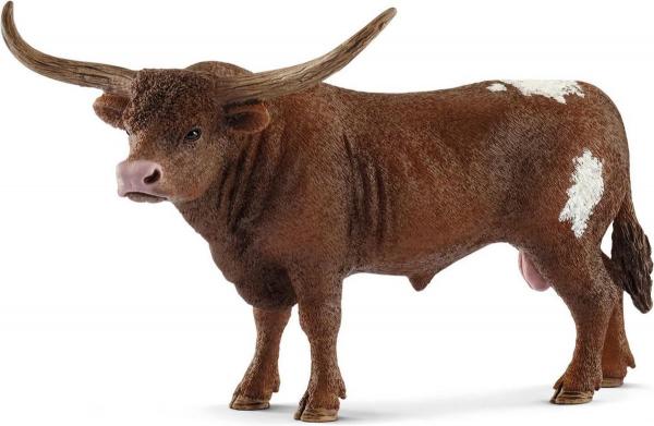 Texas Longhorn Stier