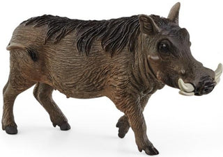 Wrattenzwijn - De Dondersteen