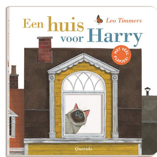 Een huis voor Harry - De Dondersteen