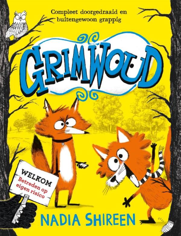 Grimwoud - De Dondersteen