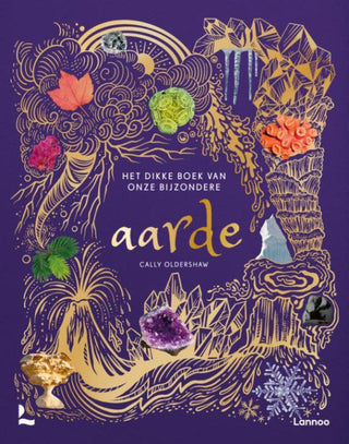 Het dikke boek van onze bijzondere aarde - De Dondersteen