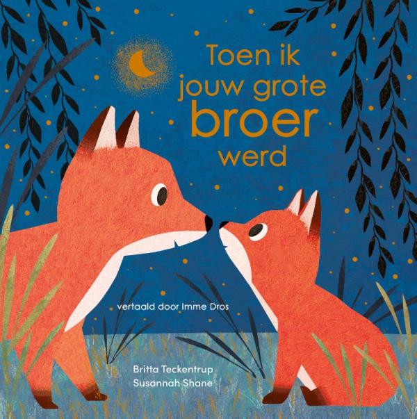 Toen ik jouw grote broer werd - De Dondersteen