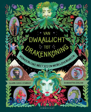 Van dwaallicht tot drakenkoning - De Dondersteen