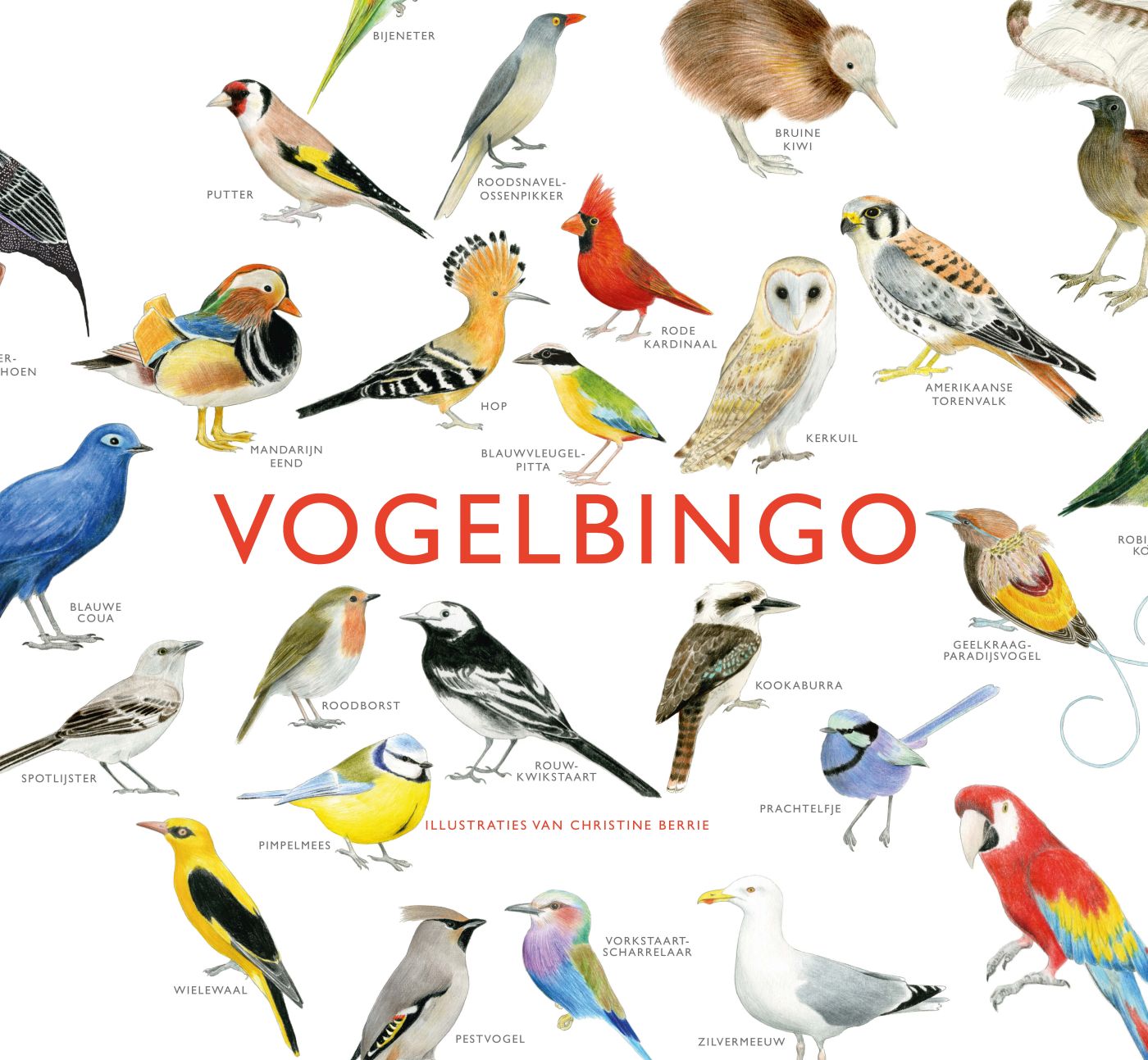 Vogelbingo - De Dondersteen