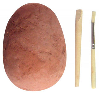Dig Out A Painted Dinosaur Egg - De Dondersteen