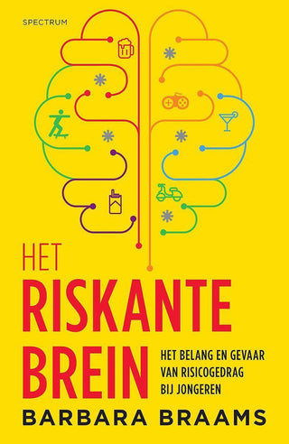 Het riskante brein - De Dondersteen