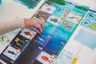 Finspan - De Dondersteen