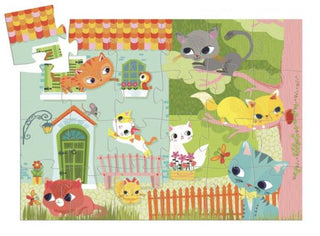 Pachat en zijn Vrienden (24) - De Dondersteen