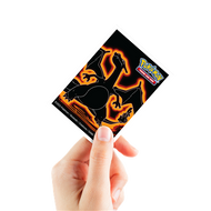 SLEEVES APEX POK Neon Kanto Charizard