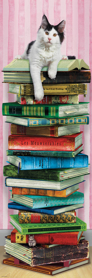 Academic Cat (1000) - De Dondersteen