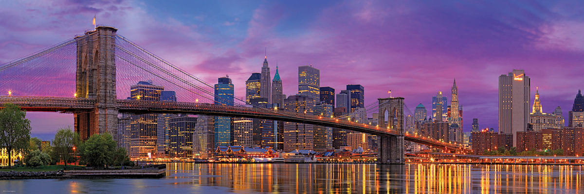 Brooklyn Bridge New York (1000)