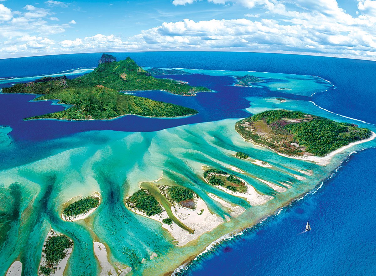 Coral Reef (1000) - De Dondersteen