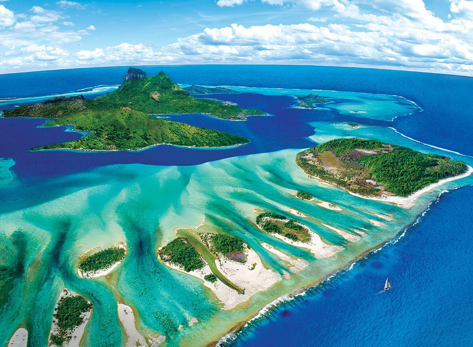 Coral Reef (1000)