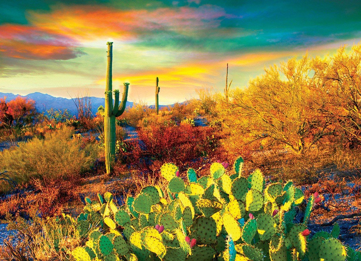 Desert Dreams (1000) - De Dondersteen