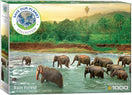 Switch Save the Planet! Animal Kingdom (1000) - De Dondersteen 2 image