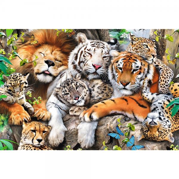 Wild Cats in the Jungle (500) - De Dondersteen