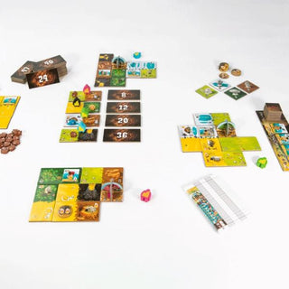 Kingdomino Origins - De Dondersteen