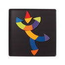 Switch Magnet Puzzle Colour Circle Goethe - De Dondersteen 2 image
