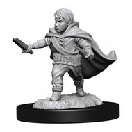 D&D Nolzur's Marvelous Miniatures Unpainted Miniatures Halfling Rogue Male