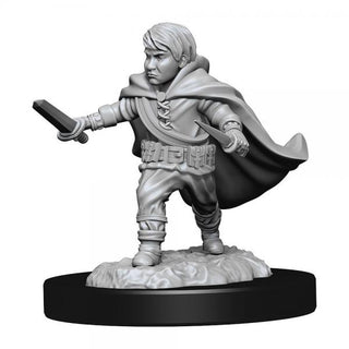 D&D Nolzur's Marvelous Miniatures Unpainted Miniatures Halfling Rogue Male - De Dondersteen